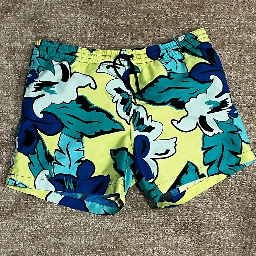 Chubbies Swim Trunks 🌴